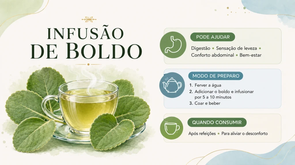 preparo do chá de boldo