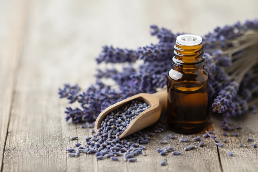 Flores secas de lavanda ao lado de um frasco de óleo essencial, usado em estudos sobre ansiedade