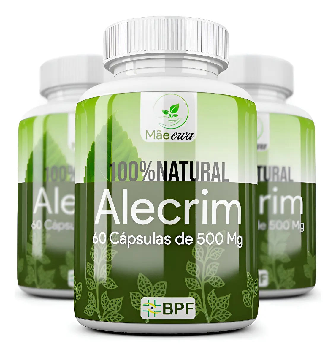 Kit 3 Frascos - Alecrim MãeErva 500mg