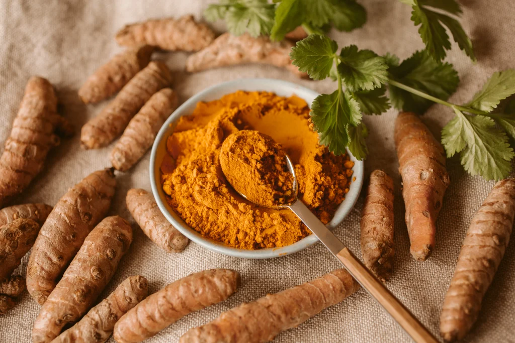tigea com pó de cúrcuma e rizomas de açafrão da terra (cúrcuma